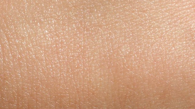 Нормална кожа - Какво трябва да знаете за нормалния тип кожа? - Al+ Cosmetics